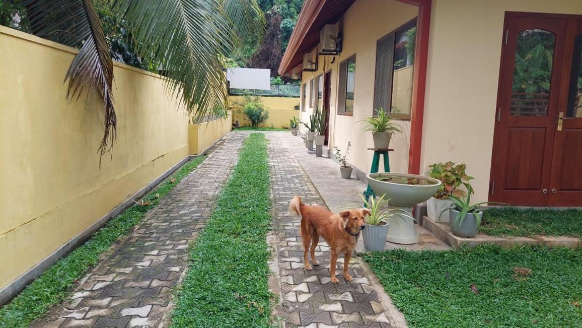 El-Nivasa Villa In Weligama Kültér fotó