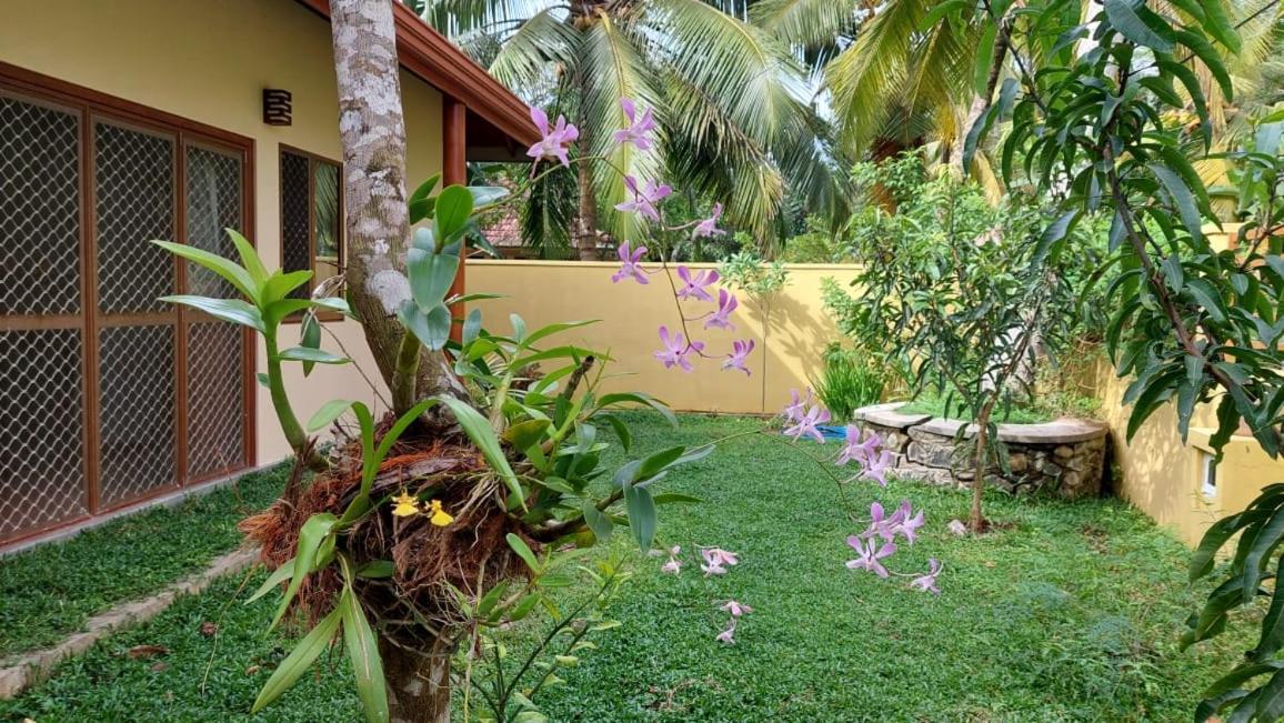 El-Nivasa Villa In Weligama Kültér fotó